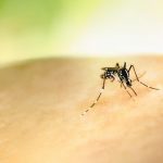 Rock County resident infected with West Nile virus; 7th case in the state