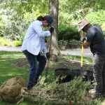 Help keep Janesville’s Rotary Botanical Gardens growing: Volunteers needed now