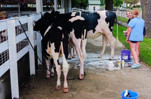 Rock County 4-H Fair 2026 features ‘Christmas in July’ theme
