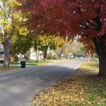 When does leaf pickup begin in Janesville 2025?