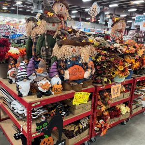 Ollie’s Bargain Outlet grand opening set for Thursday in Janesville